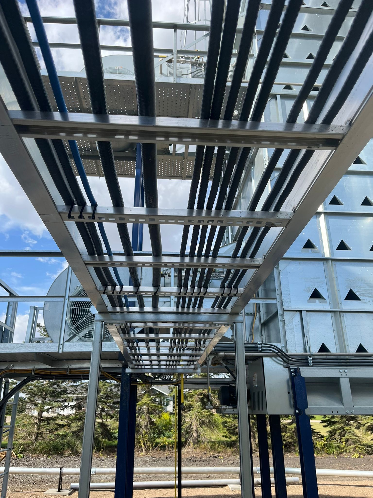 98740319-c5eb-491b-a054-fd2bd65ae986