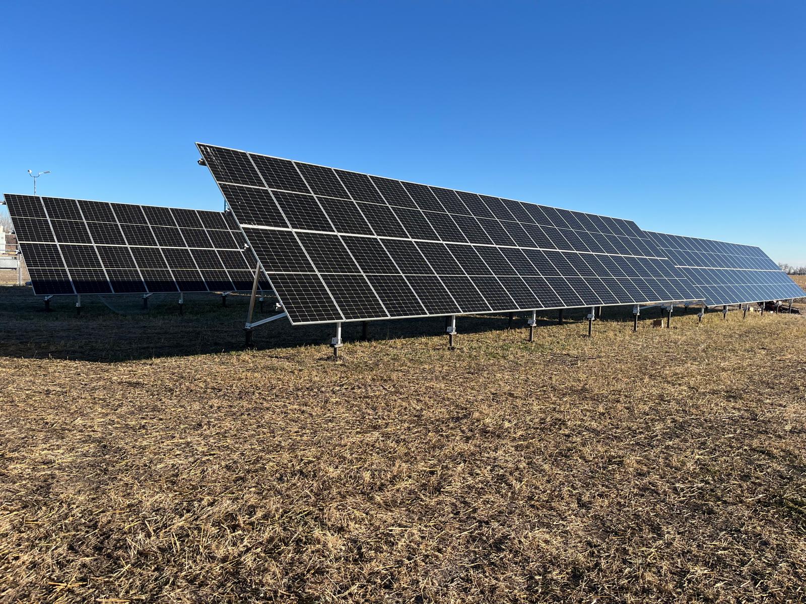 PHOTO-2026-03-17-18-34-34[3]